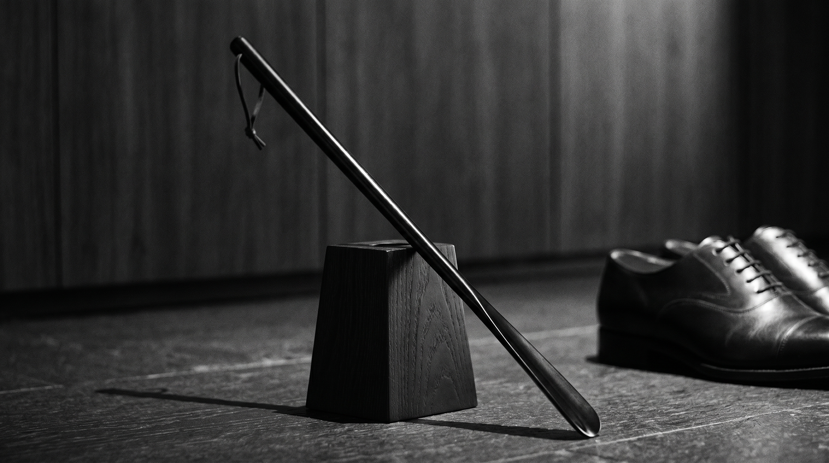 Shoehorn